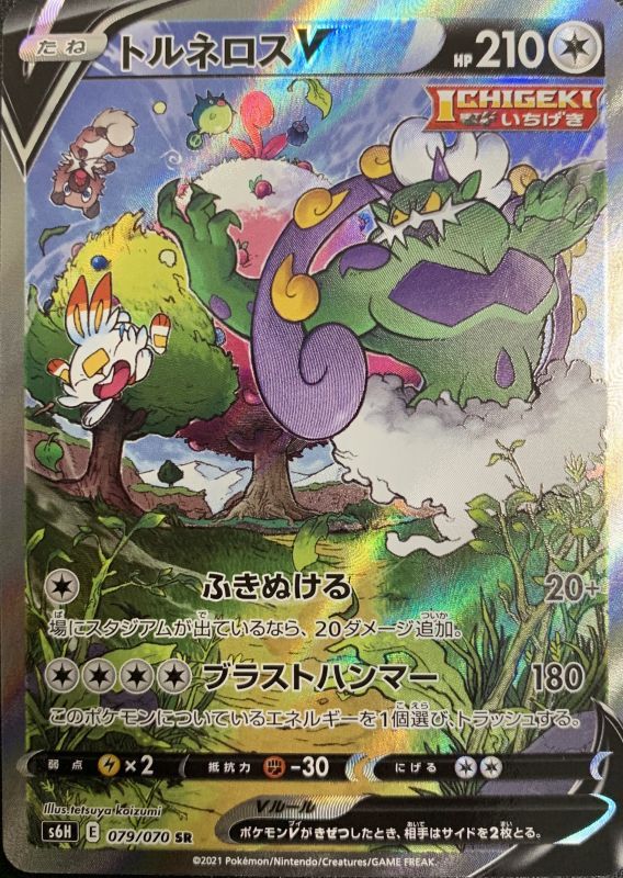 オータムセール ポケモンカード トルネロスV SA | kinderpartys.at